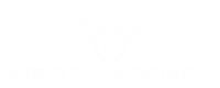 Aero Club of India